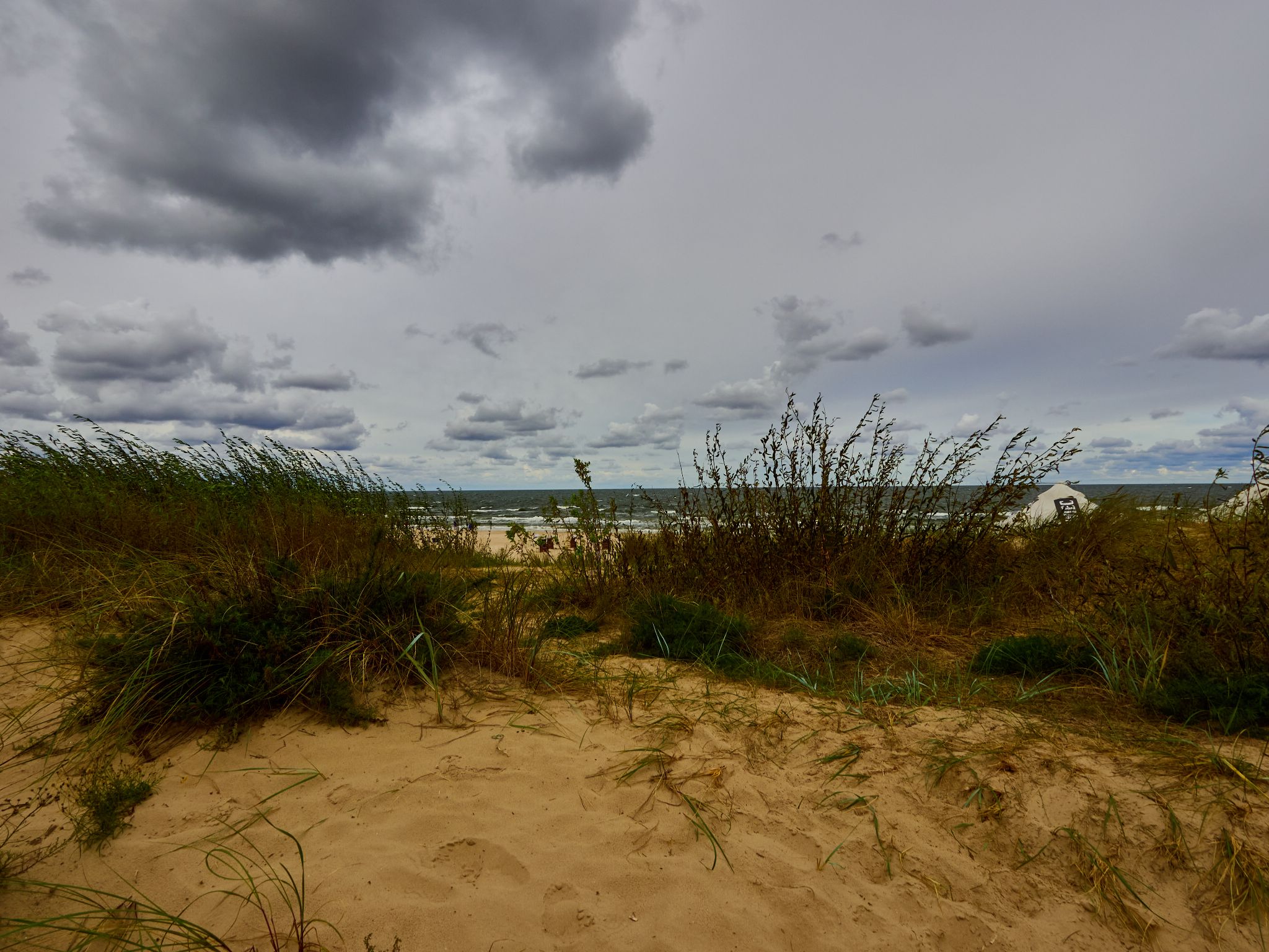 Landschaft 2024  1769 Usedom